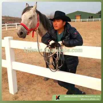 2 rail equestrian fence