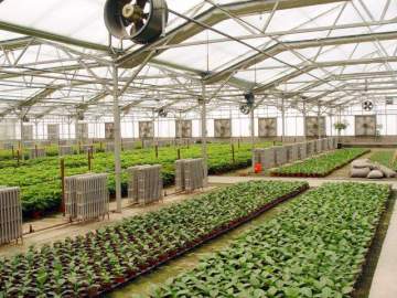 Polycarbonate Greenhouse Construction