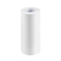 19gsm 2ply 23x23cm Absorbency Kitchen Paper Towels