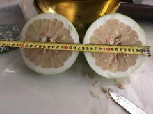 Fresh Pinghe delicious Pomelo