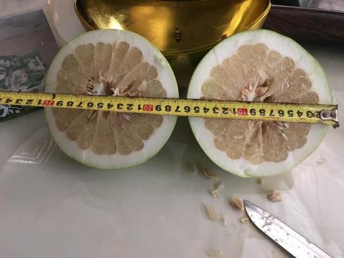 ताजा पिंगे स्वादिष्ट Pomelo