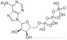 Adenosine triphosphate CAS 56-65-5