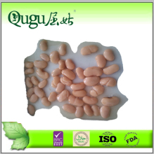 large white kidney beans in tin from chinese wholesale food distributors