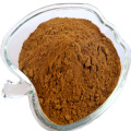 Spice Jungle Black Ajo Powder