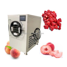 Commercial Freeze Drying Machine for Fruits and Vegetables