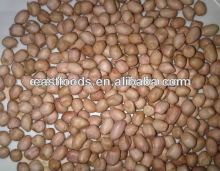 Groundnut Kernel 35/40