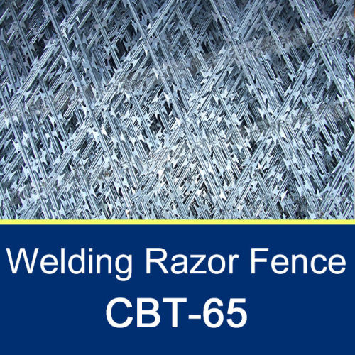 CBT-65/100*200mm Welded Razor Wire Panel