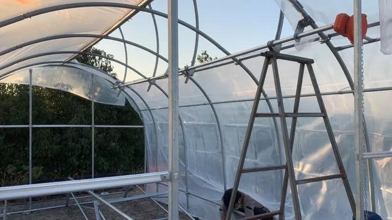 Cheap price Tunnel Plastic /PE Flim Greenhouse