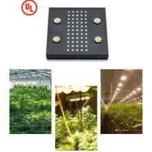 NOAH 4 Plus Led Grow Light