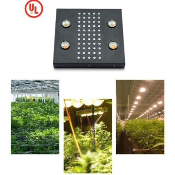 NOAH 4 Plus Led Grow Light