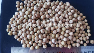 Chickpea bean crop in 2014