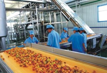 Supply fruit and vegetable juice processing machine