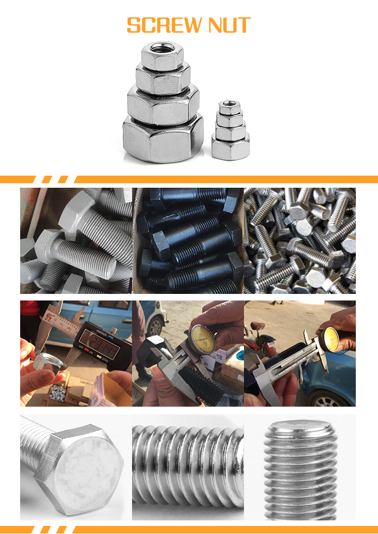 Zhenxiang high quality screw nut bolt matching nut