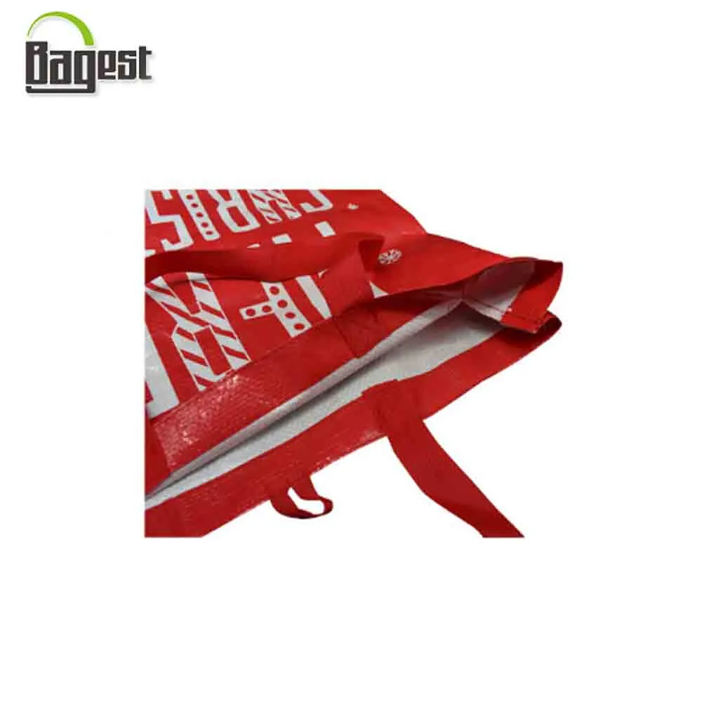 Qingdao Oeko-Tex 100 Certificated Supermarket Grocery PP Non Woven Bags in Promotion