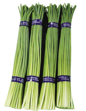Chinese new season garlic moss