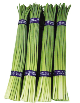 Chinese new season garlic moss