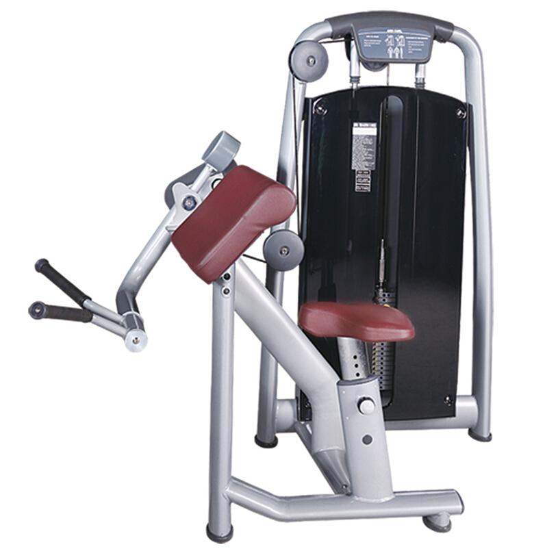 Hot Sale Fitness Equipment Biceps Machine with CE for Gym Building