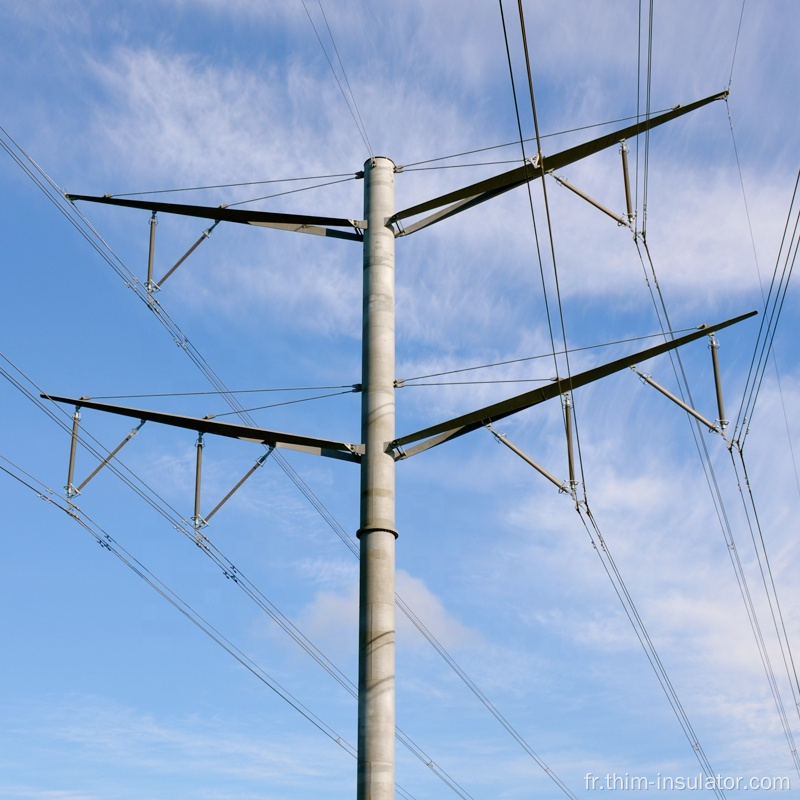 Isolants en polymère à suspension haute tension