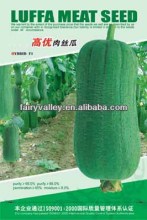 All Kinds Of Excellent Quality Fleshy Luffa Seeds/Luffa Sponge Seeds/Sponge Gourd Seeds For Sale