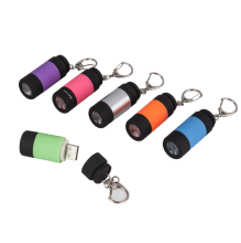 Multi-Colored Rotate Switch Mini LED Flashlight Keychain - Plastic Keychain Light