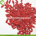 Factory Supply Fruit Dried New Harvest Goji Berries