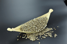 99.99% Pure Cooked Hemp Seeds