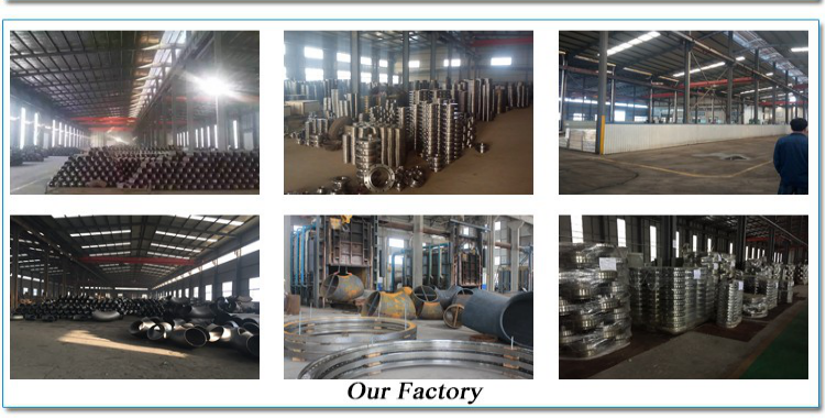stainless steel 304 316 150# 300# forged flange