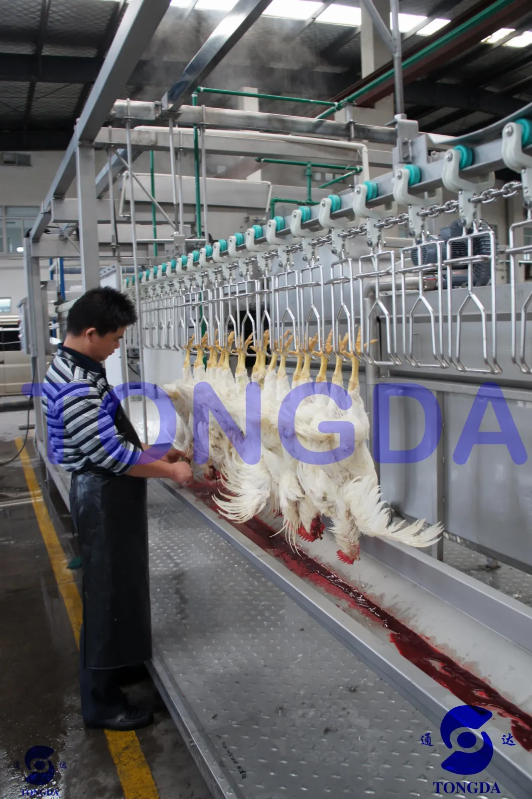 Compact Mobile Module Slaughter Equipment for Chicken Broiler