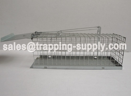 Small Single Rat Cage Trap