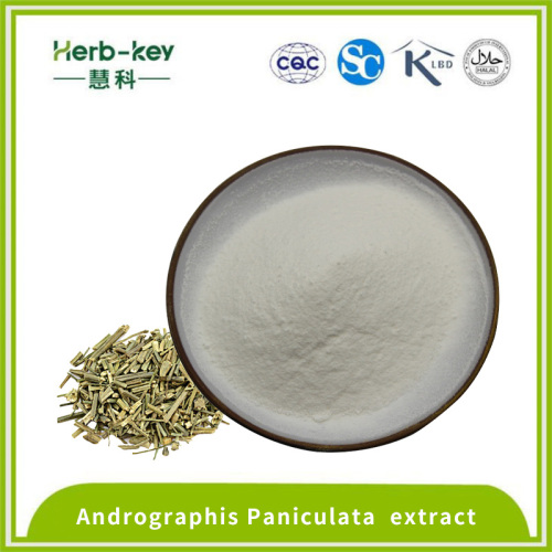 Andrographolide 5% Andrographis Paniculata extract