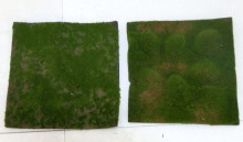artificial moss, moss panel, moss decoration, any size is available