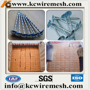 KANGCHEN Kenya roofing nails from China.