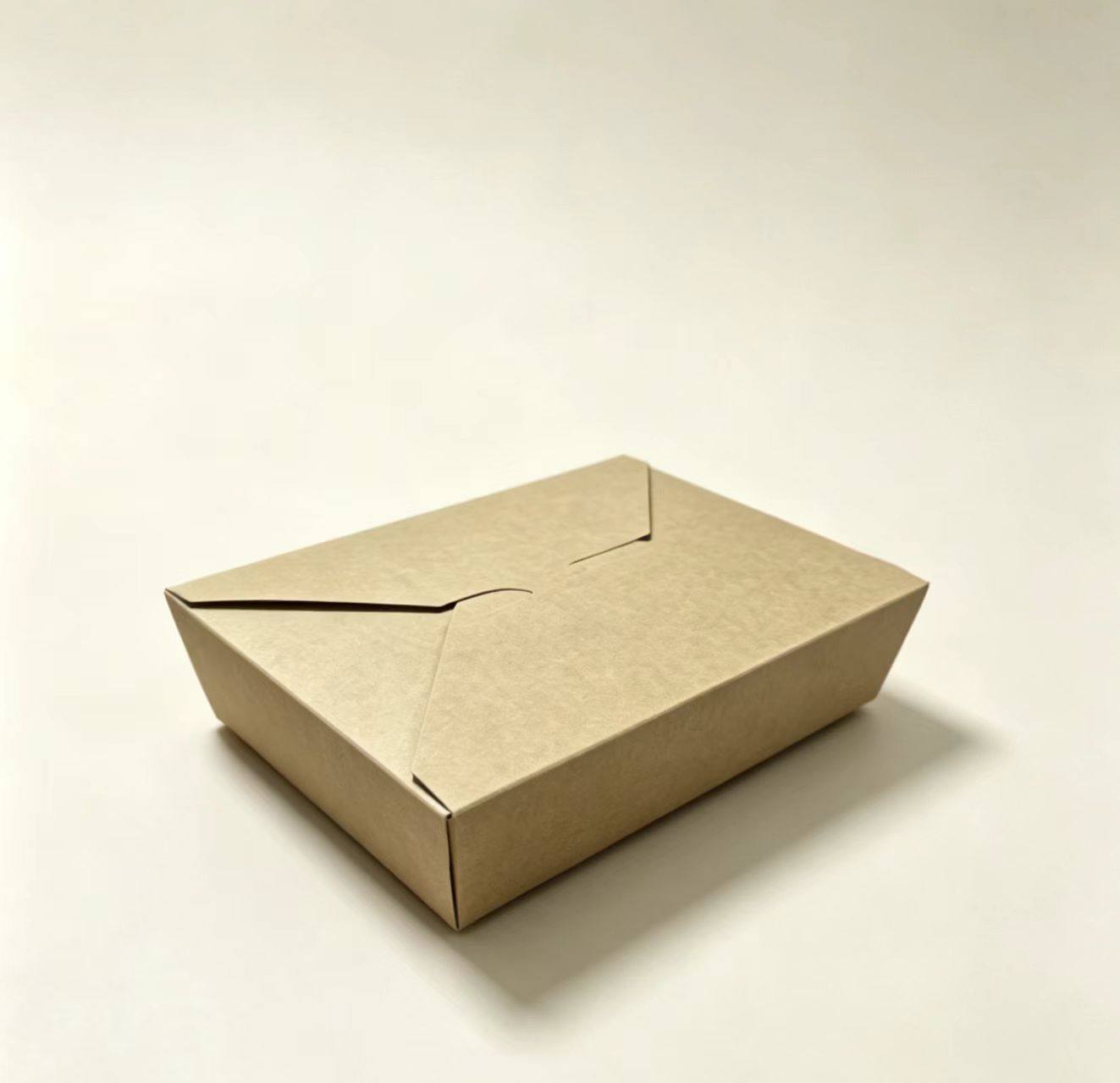Kotak Bawa Pulang Kraft Buram Opaque Kraft Takeout Box