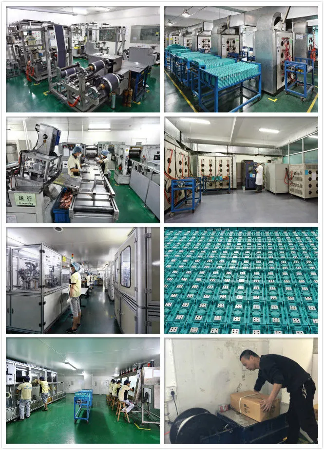 Gbs 3.2V 40ah Lithium Prismatic LiFePO4 Cells Battery for Electric Forklift Energy Storage System