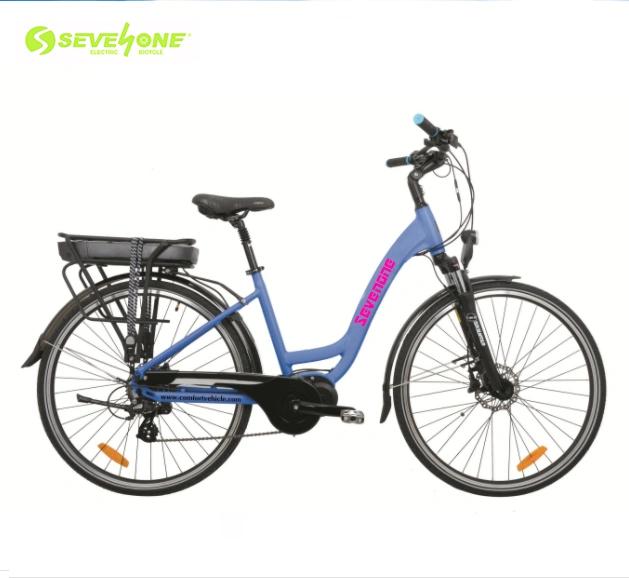 350W Hub Motor City Electric Bike