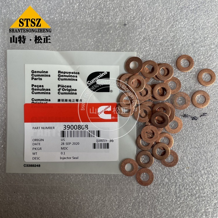 Injector Seal 3900808