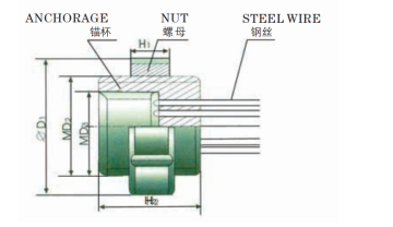 DM TYPE UPSETED HEAD ANCHORAGE