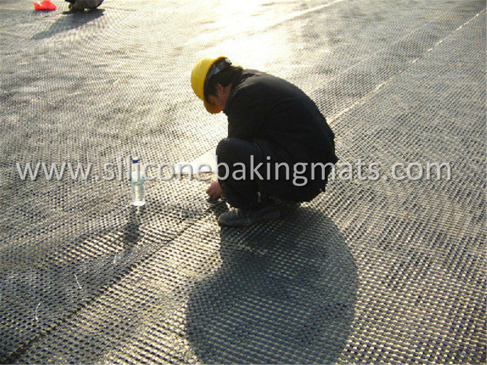 Asphalt Reinforcement Gegorids