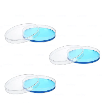Wholesale 60mm Sterile Plastic Petri Dishes with Lids - Laboratory Disposables