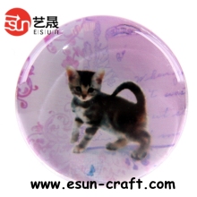 2012 New Customized 3D Dragon Refrigerator Magnet with Thermograph (RM004)