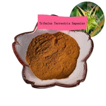 factory supply Tribulus terrestris extract powder/fructus tribuli/tribulus saponins