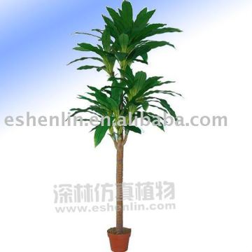 artificial dracaena plant (Brazilian tree)
