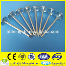 Galvanized roofing nail / roofing nails