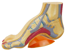 Foot Arch Support Plastic Arch Support Silicone Arch Support