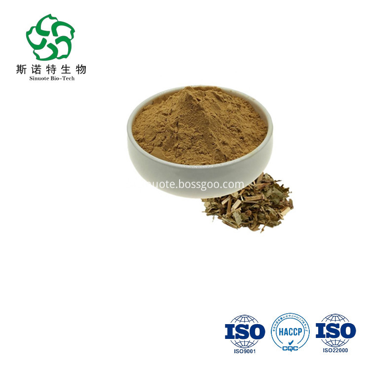 Eupatorium -Extraktpulver Eupatorium Extract Powder