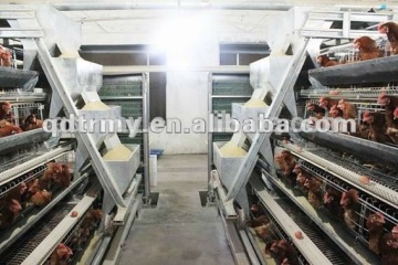 A type layer cage automatic poultry farming equipment