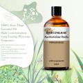 Vente chaude 100% pure Costus Root Huile en gros au meilleur prix