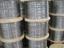 AISI304, 7x7-2.0mm Wire Rope (1960n/Mm2, Mbl-310kg)