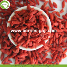 Factory Supply Wholesale Nutrition Dried Goji Organic