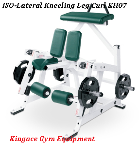 Plate Loaded Hammer Strength Iso-Lateral Rowing Machine